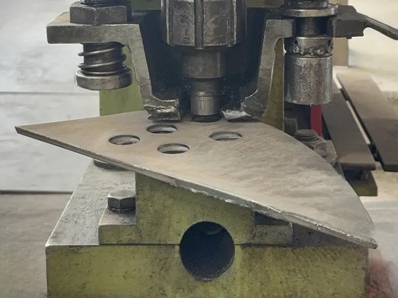 پانچ روهینا پیشروسازه