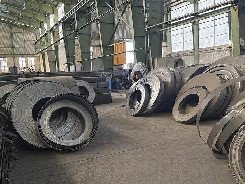 نواربر روهینا پیشروسازه